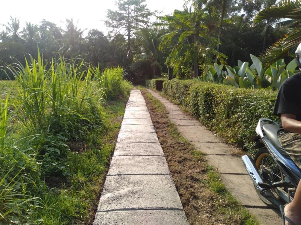 Balian Bliss Retreat Resort - Adults Only المظهر الخارجي الصورة