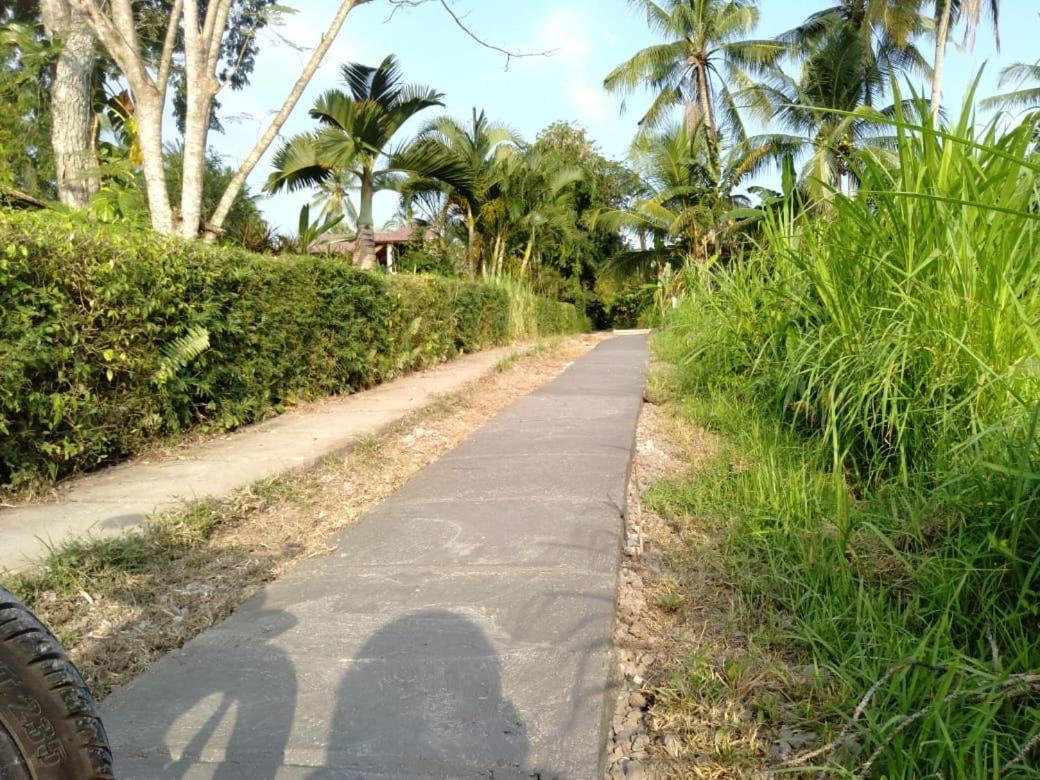 Balian Bliss Retreat Resort - Adults Only المظهر الخارجي الصورة