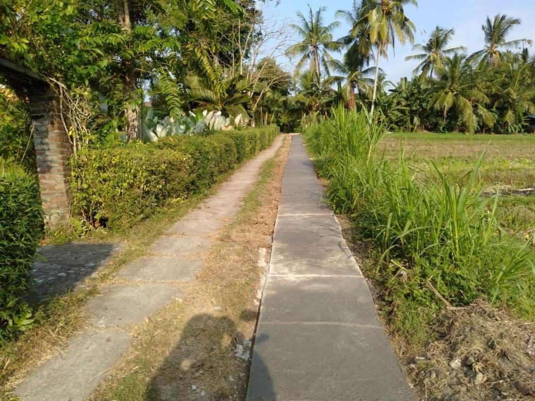 Balian Bliss Retreat Resort - Adults Only المظهر الخارجي الصورة
